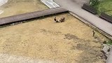 这是犁地准备插秧了