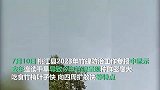湖南桃江现十年最大蝗灾，发生面积达3.6万亩，预计将扩散到8万亩以上