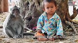猴子把小女孩当自己孩子，寸步不离还抱着小女孩，太暖心