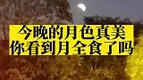 今晚的月色真美你看到月全食了吗