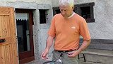 没事上去一个人静静摘摘野菜拾掇拾掇草坪