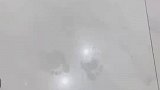 试衣间出现一双脚印，擦不掉可能是顾客脚底出油了