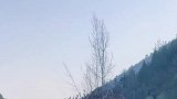 高速堵车太严重，堵得小伙子跟公鸡打起来了