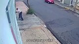 男子本想逗狗狗玩，没想到被狗狗咬住钱包，若不是监控，谁信