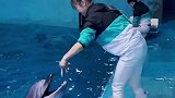 抖到蓬莱八仙过海 祝大家新年快乐