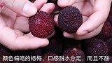 吃了30年的杨梅，终于知道挑选杨梅的技巧，保证口感甜汁水多