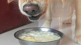 这是看到镜头里的自己了？吓成这样？