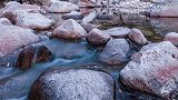 这一口冰糖水晶肘子，东坡吃了都说好