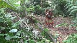 野人躺路边发颤，美女给他弄烤鱼吃，还试探他温度！