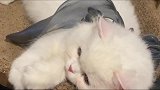那些彻夜长谈的心事，你一定要帮我保管好