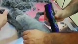 一只可爱的猫咪, 被主人带去剃毛后, 整只猫都不好了