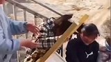 学生排百米长龙传递课桌 老师：学生自发帮忙的