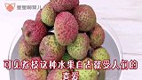 荔枝放冰箱容易坏？跟水果店老板学一招，放10天依然新鲜