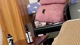 女子家里飞进蝙蝠，猫咪一秒击落