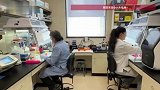 汉坦病毒阳性乘客登上邮轮前一天，中国乘客下船离开：已向防疫部门报备并在家隔离