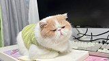 《别学习了陪我玩嘛》