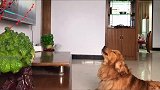 究竟是谁带偏了谁