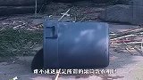 熊团子变身滚筒洗衣机，场面笑爆了，就问你想不想要！