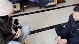 这新爸新妈是选择困难户