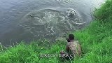 男子鳄鱼池边给鳄鱼拍照，下一秒鳄鱼突然袭击男子，太惊险了