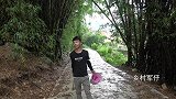 小伙用垃圾桶制作捕“蜈蚣”陷阱，放一会就有收获，太惊喜了
