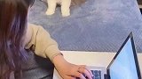 谢谢你百忙之中抽空来敷衍我，只是短暂了爱了我一下