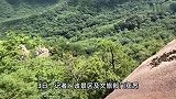 辽宁一游客景区坠崖身亡，现场多人围观拍摄：坐栏杆上后仰坠落