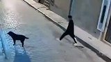 狗子准备去蹭饭，却被陌生人袭击