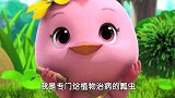 萌鸡小队：水仙花枯萎了，小鸡们帮忙救水仙花