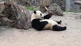 小智你要来一根吗