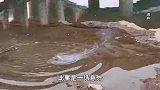 邻居扔偏炮仗致7岁男童右臂受伤截肢，涉事男子：没想到有这么大的威力