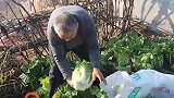 这满满都是父母的爱