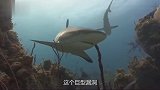 海底出现巨大窟窿大量海水被地球吞噬！海洋会不会枯竭