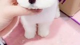 歌和你很配