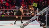 WWE-09年-PPV TLC 统一双打冠军赛 D-Generation X vs Jerishow-专题
