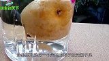 一颗完整的梨，是怎么放进酒瓶里的？看完真是大开眼界！