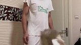 家里猫咪一直缠着老公