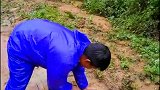 厉害呀，捡了几条大鱼！