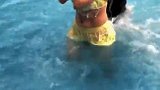 水上乐园滑梯项目看着就刺激