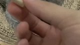 刚到我家时也是傻傻的