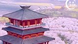 春暖花开，奔你而来！郑州3月份赏花地图来啦！