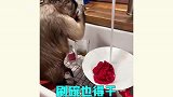 猴子迷惑行为大赏，你们这是要成精了？