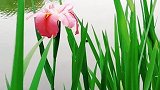 心若相惜，无言也温暖，情若相眷，不语也深情。