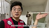 我逃离了地狱猫咖！可以去你家吗？ 猫咖流浪猫流浪猫救助猫