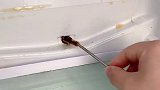 家里冰箱经常结冰的，肯定是排水孔堵住了，用这个疏通器疏通冰箱疏通器居家好物