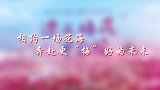 相约一场花海，奔赴更“梅”好的未来！