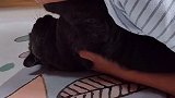 我妈妈这肤色咋回事儿呢