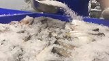 当年在别人眼里是条咸鱼，但我也要做一条有理想的咸鱼。