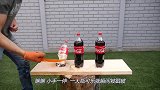 当鱼碰上金刚狼爪会怎样？老外实测，下场简直不要太惨