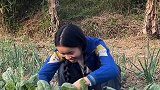 自己种的这些菜有收获了，我开心唱个歌怎么拉